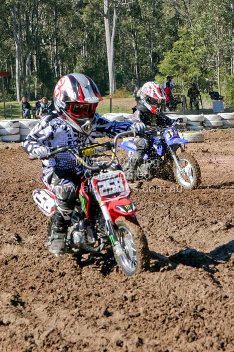 444x677 pixels (107K)